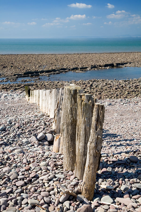 Porlock beach timbers